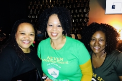 Norfolk State University Alumni Association NYC