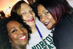 Norfolk State University Alumni Association NYC